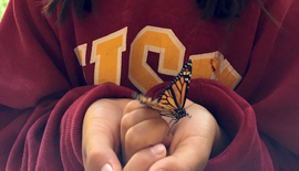 Monarch Butterfly Season Allows Young Philanthropist to Promote Conservation Awareness & Raise Funds for Pediatric Cancer